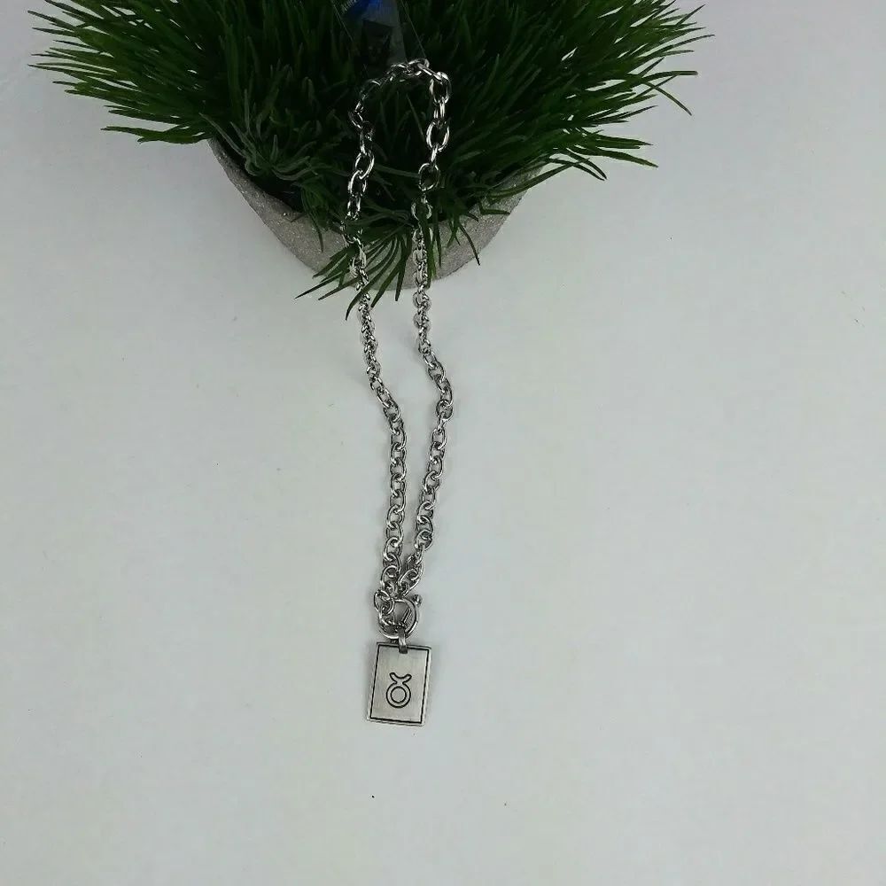 ♉Stainless steel Taurus zodiac necklace